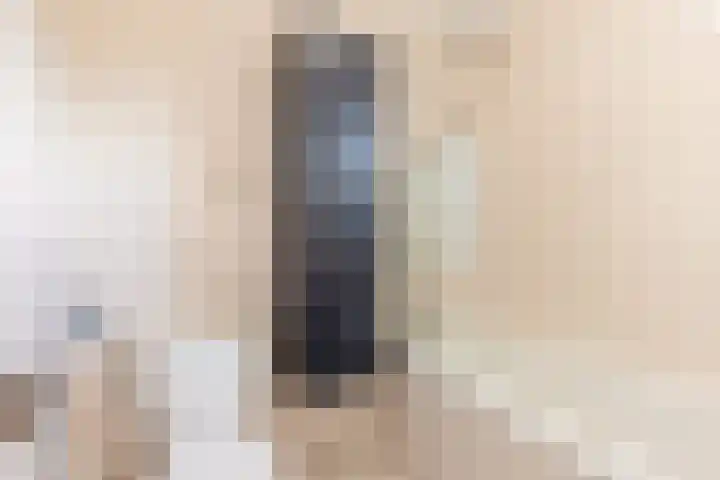 De Steen 11 Houten thumbnail 37