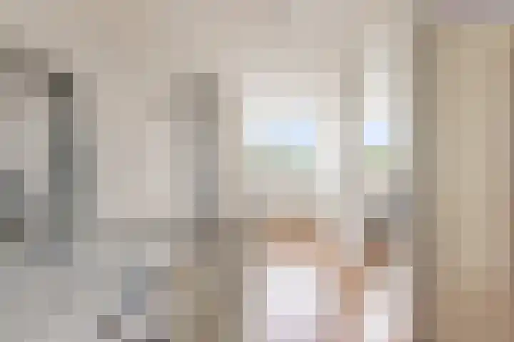 De Steen 11 Houten thumbnail 41