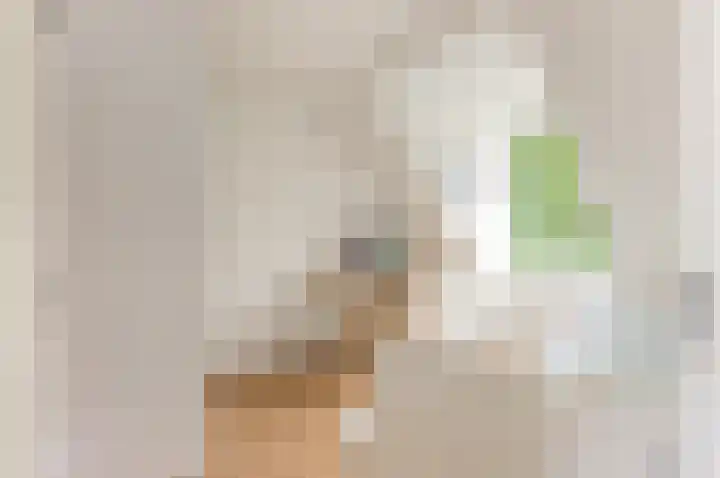 De Steen 11 Houten thumbnail 43