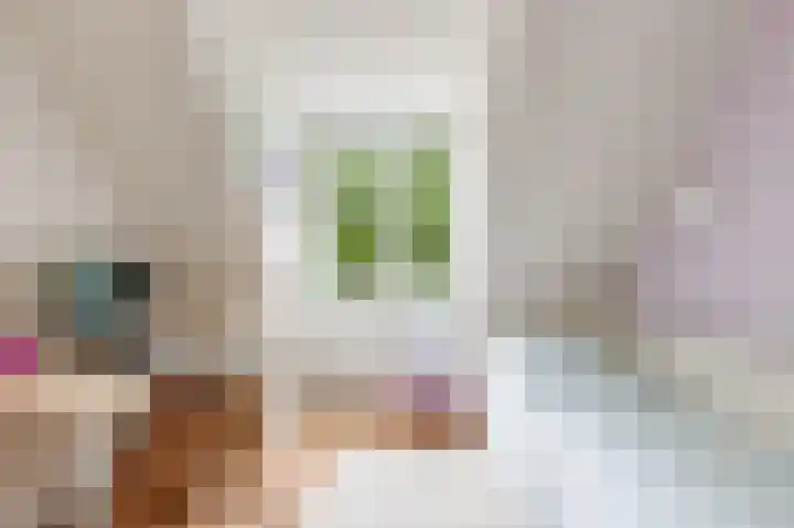 De Steen 11 Houten thumbnail 44