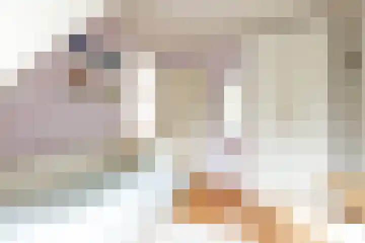 De Steen 11 Houten thumbnail 46