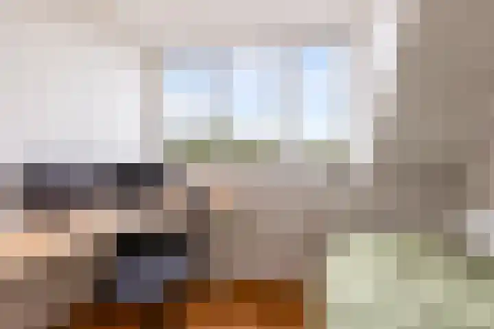 De Steen 11 Houten thumbnail 49