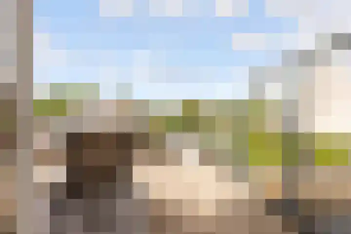 De Steen 11 Houten thumbnail 51
