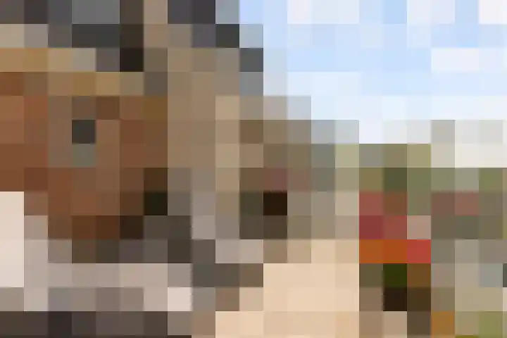 De Steen 11 Houten thumbnail 52