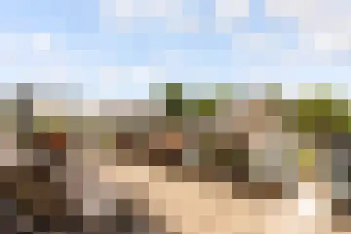 De Steen 11 Houten thumbnail 53