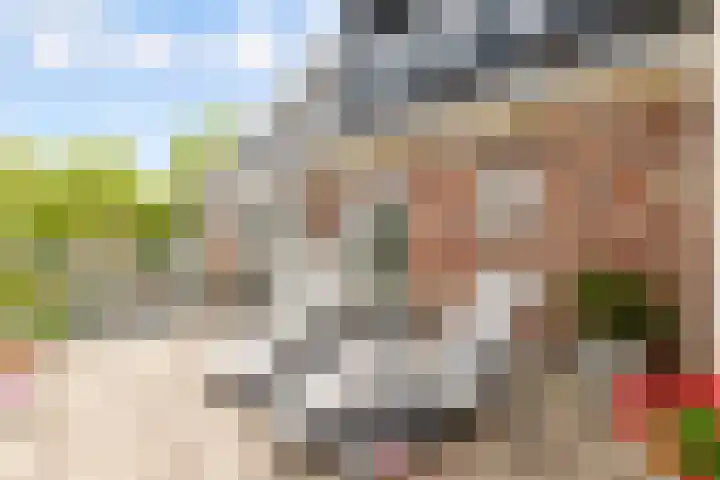 De Steen 11 Houten thumbnail 56