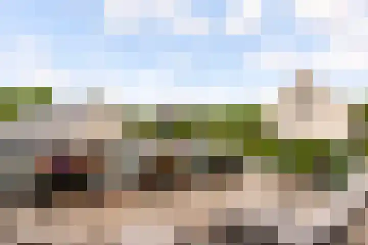 De Steen 11 Houten thumbnail 57