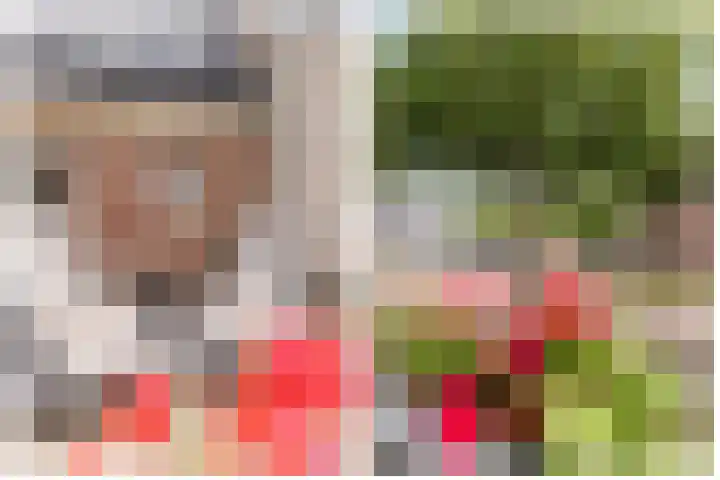 De Steen 11 Houten thumbnail 58