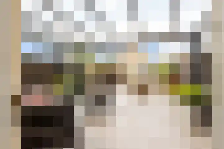 De Steen 11 Houten thumbnail 60