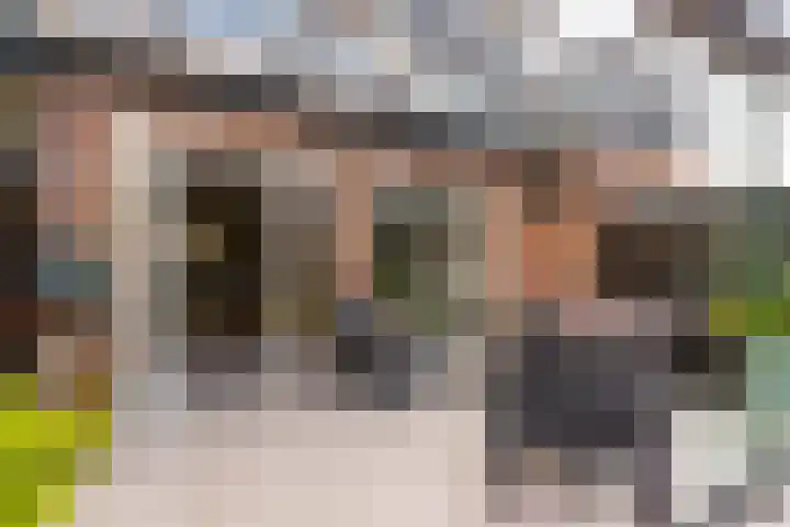 De Steen 11 Houten thumbnail 64