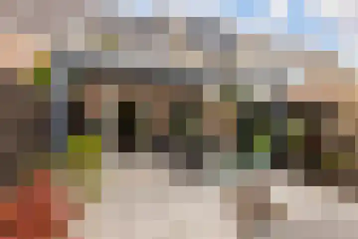 De Steen 11 Houten thumbnail 67
