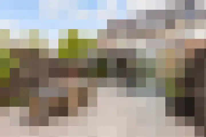 De Steen 11 Houten thumbnail 70