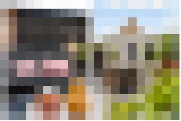 De Steen 11 Houten thumbnail 74