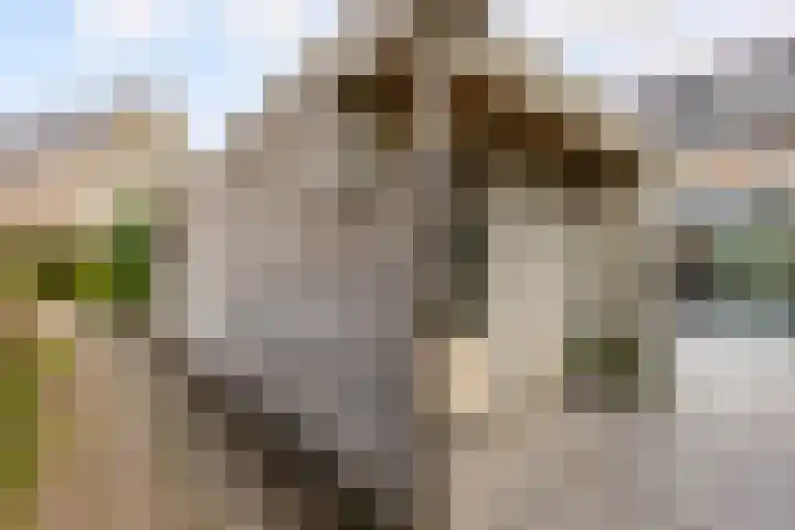 De Steen 11 Houten thumbnail 76