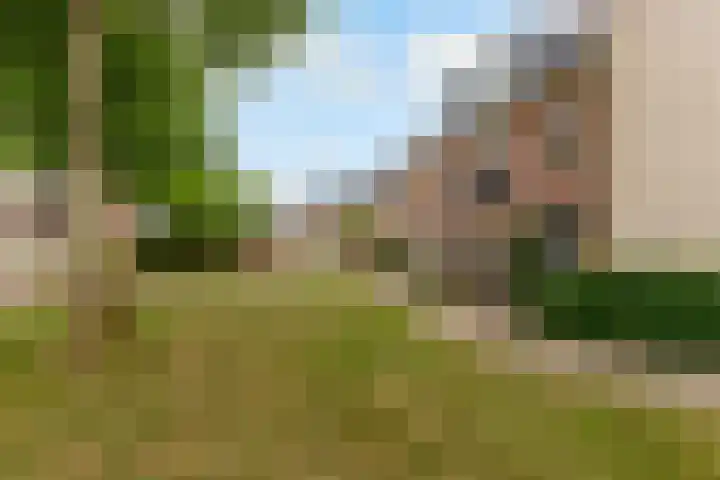 De Steen 11 Houten thumbnail 77