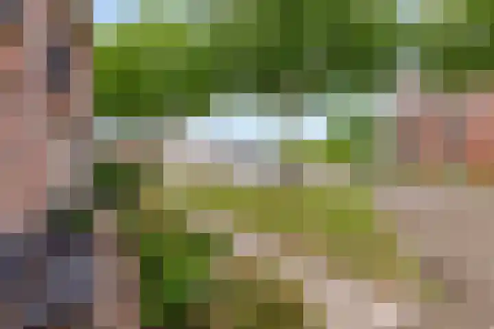 De Steen 11 Houten thumbnail 78