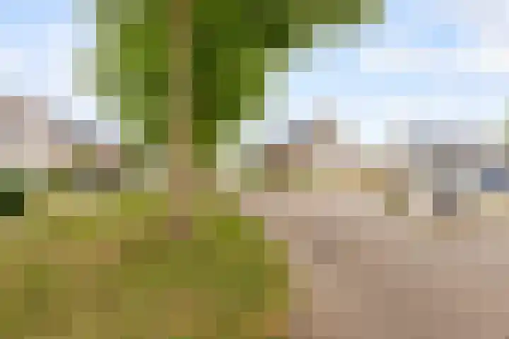 De Steen 11 Houten thumbnail 79