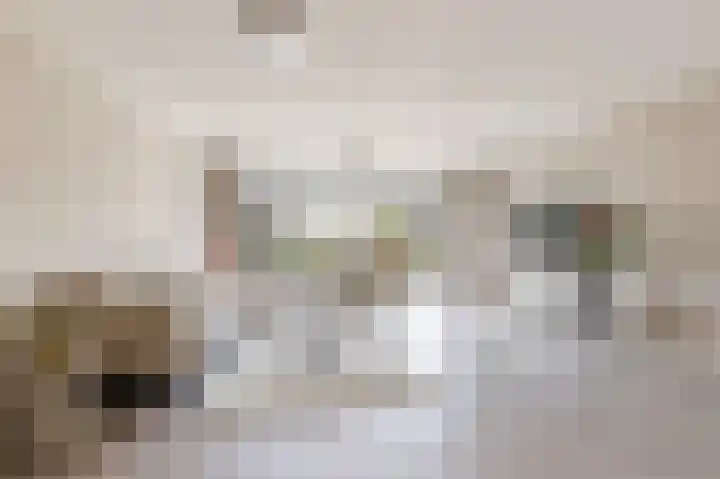 De Steen 11 Houten thumbnail 8