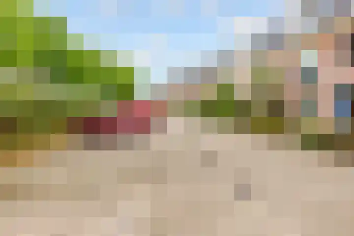 De Steen 11 Houten thumbnail 80