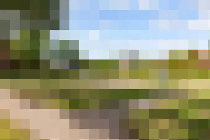 De Steen 11 Houten thumbnail 81