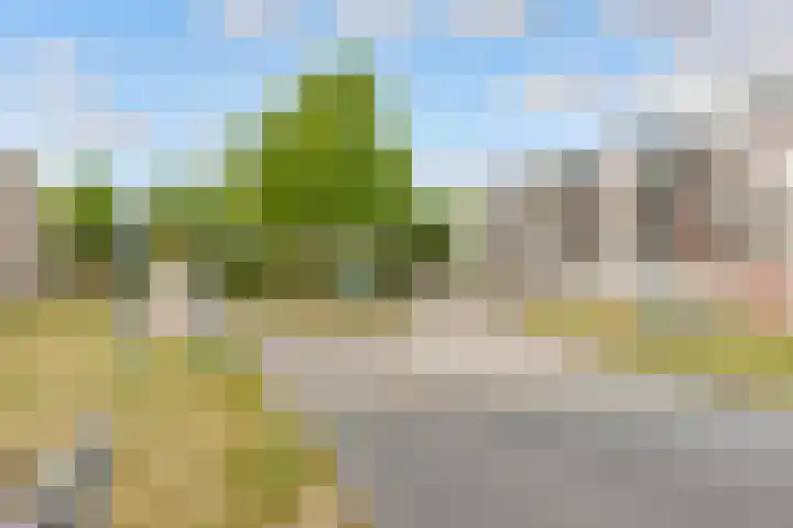 De Steen 11 Houten thumbnail 82