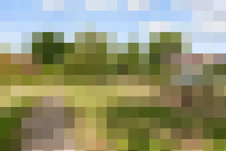 De Steen 11 Houten thumbnail 83