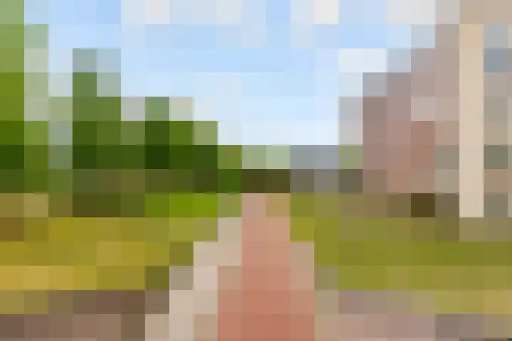De Steen 11 Houten thumbnail 84