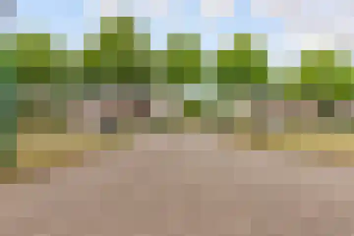 De Steen 11 Houten thumbnail 85