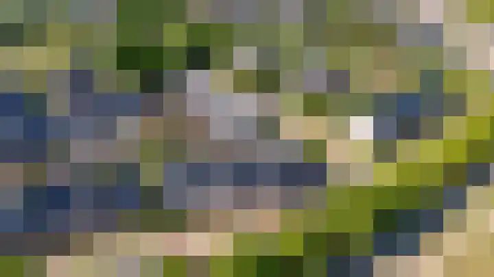De Steen 11 Houten thumbnail 86