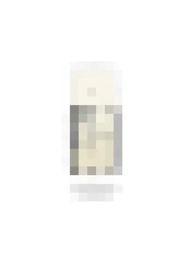 De Steen 11 Houten thumbnail 89