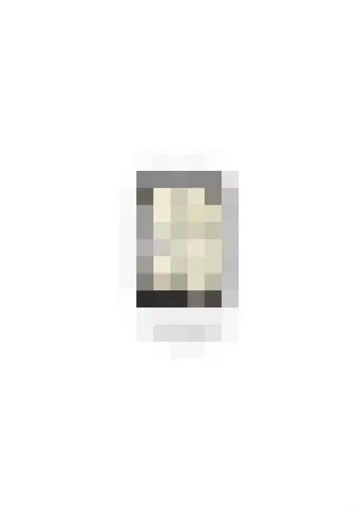 De Steen 11 Houten thumbnail 90