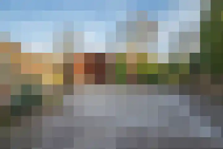 De Steen 21 Woudenberg thumbnail 29