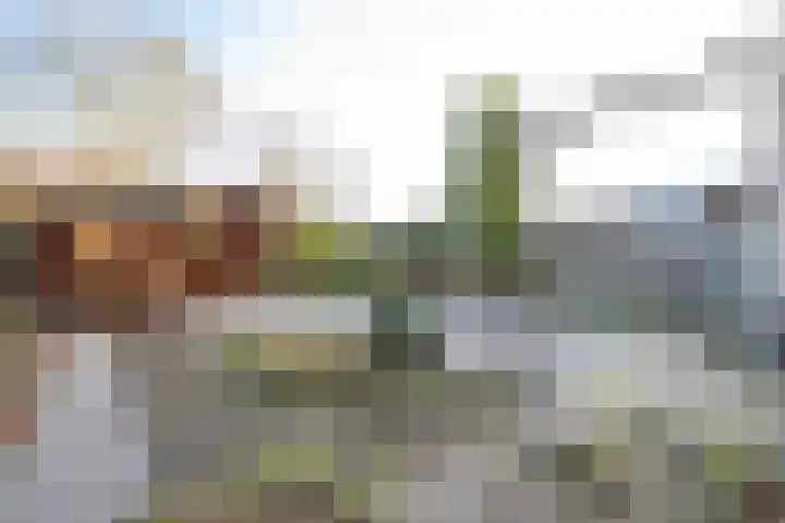 De Steen 21 Woudenberg thumbnail 30