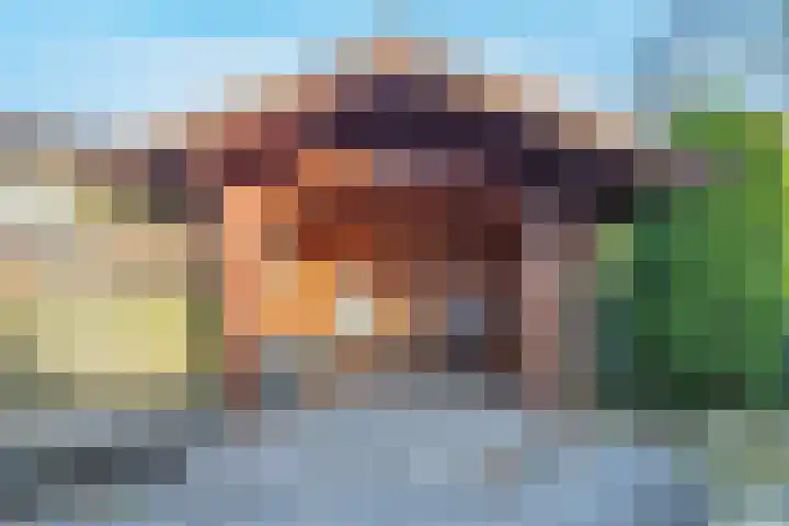 De Steen 21 Woudenberg thumbnail 31