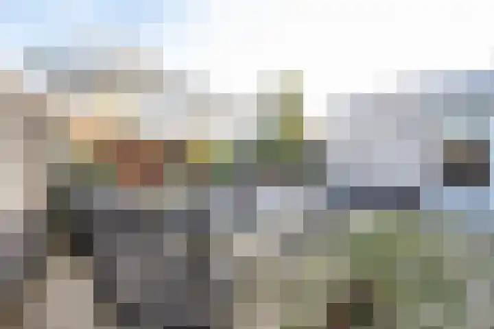 De Steen 21 Woudenberg thumbnail 33