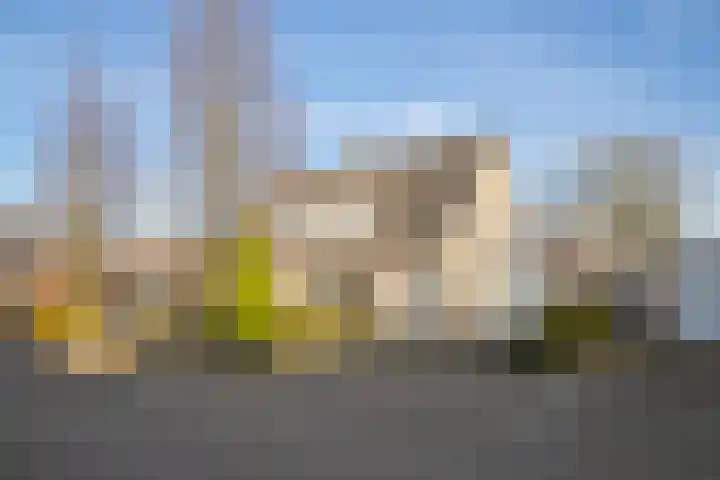 De Steen 21 Woudenberg thumbnail 35