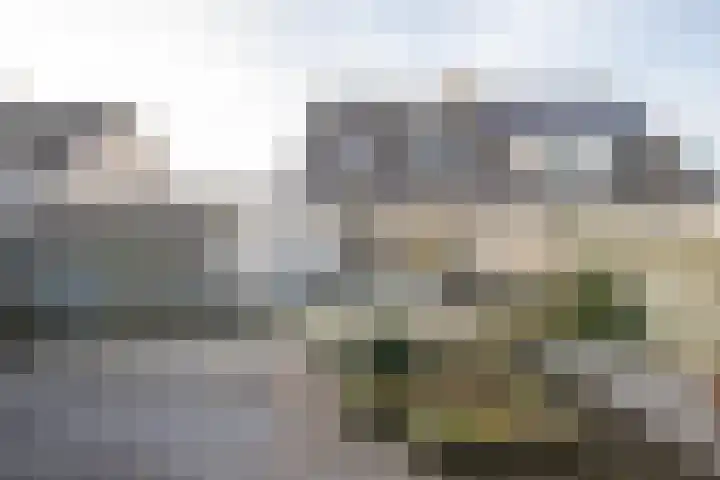 De Steen 21 Woudenberg thumbnail 4