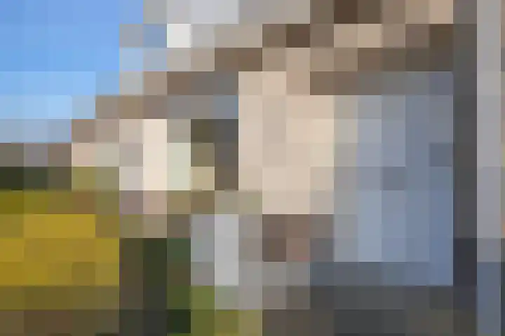 De Steen 21 Woudenberg thumbnail 6