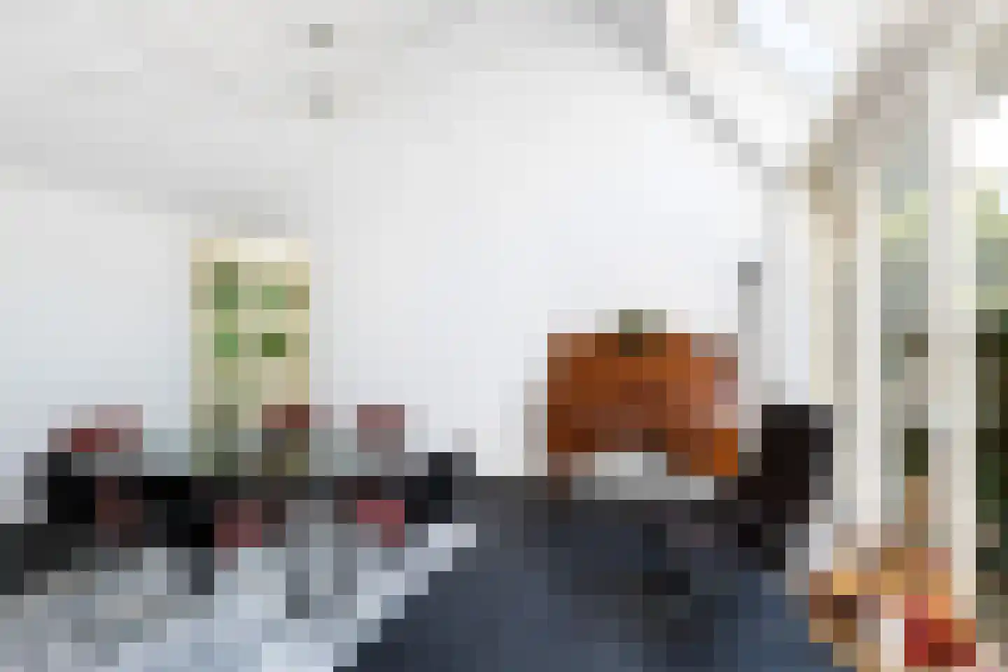 De Steen 41 Woudenberg thumbnail 23