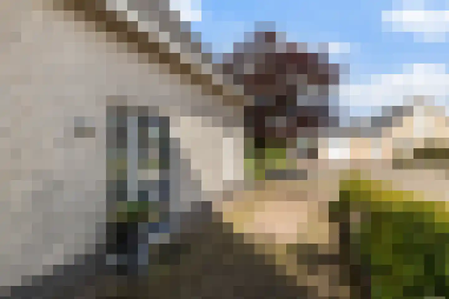 De Steen 41 Woudenberg thumbnail 31