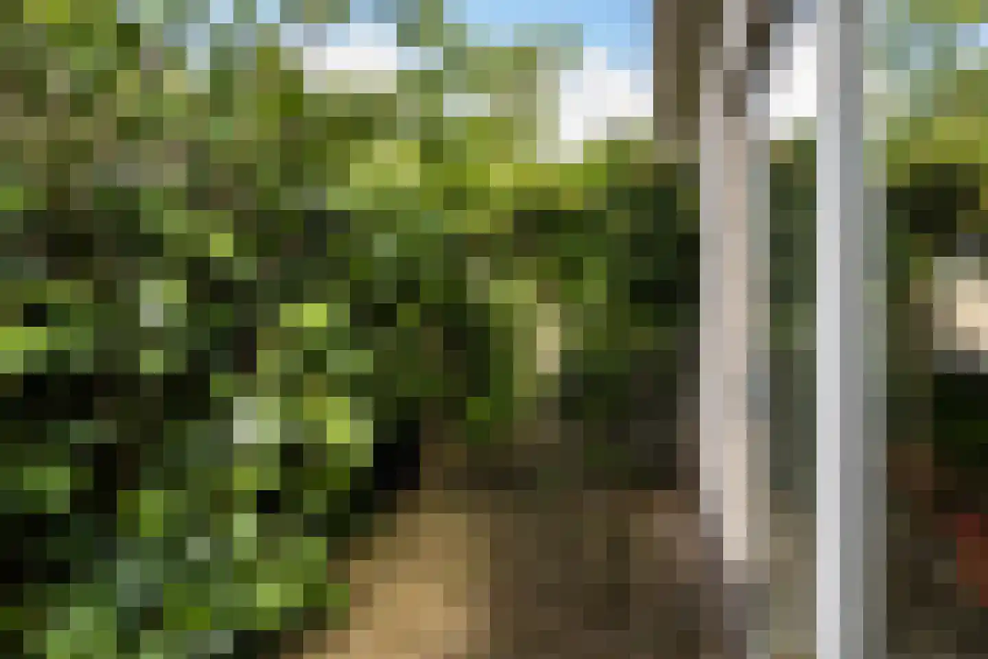 De Steen 41 Woudenberg thumbnail 32