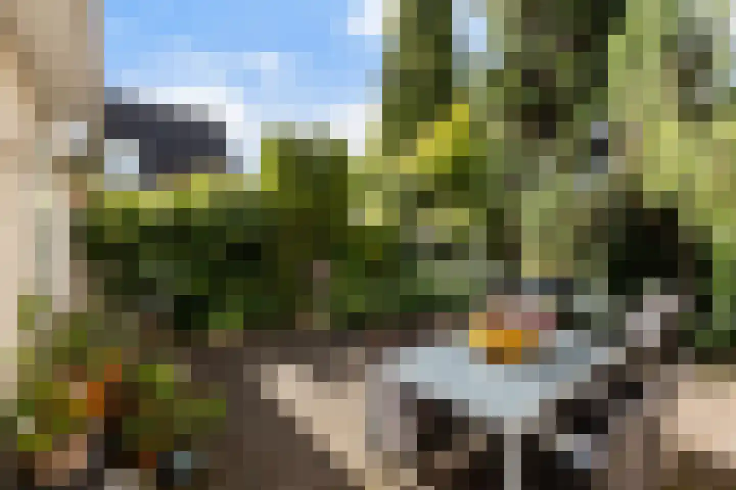 De Steen 41 Woudenberg thumbnail 33