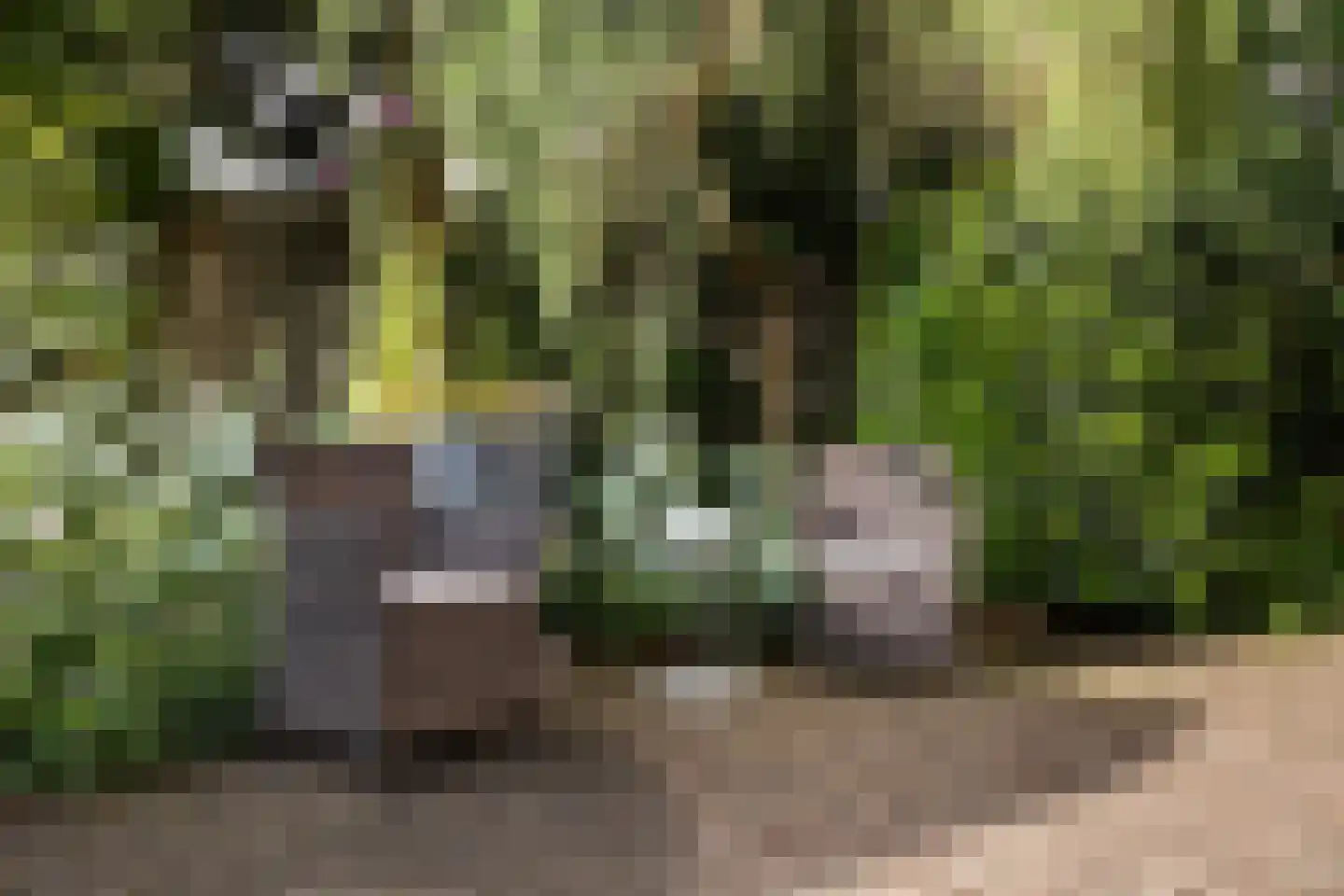De Steen 41 Woudenberg thumbnail 34