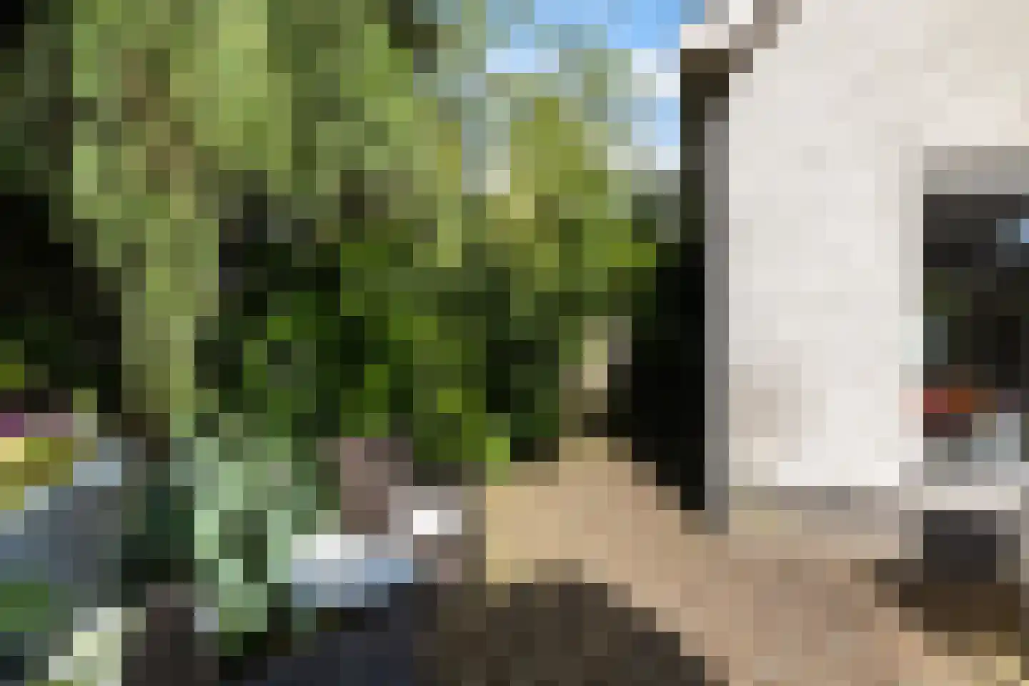 De Steen 41 Woudenberg thumbnail 35