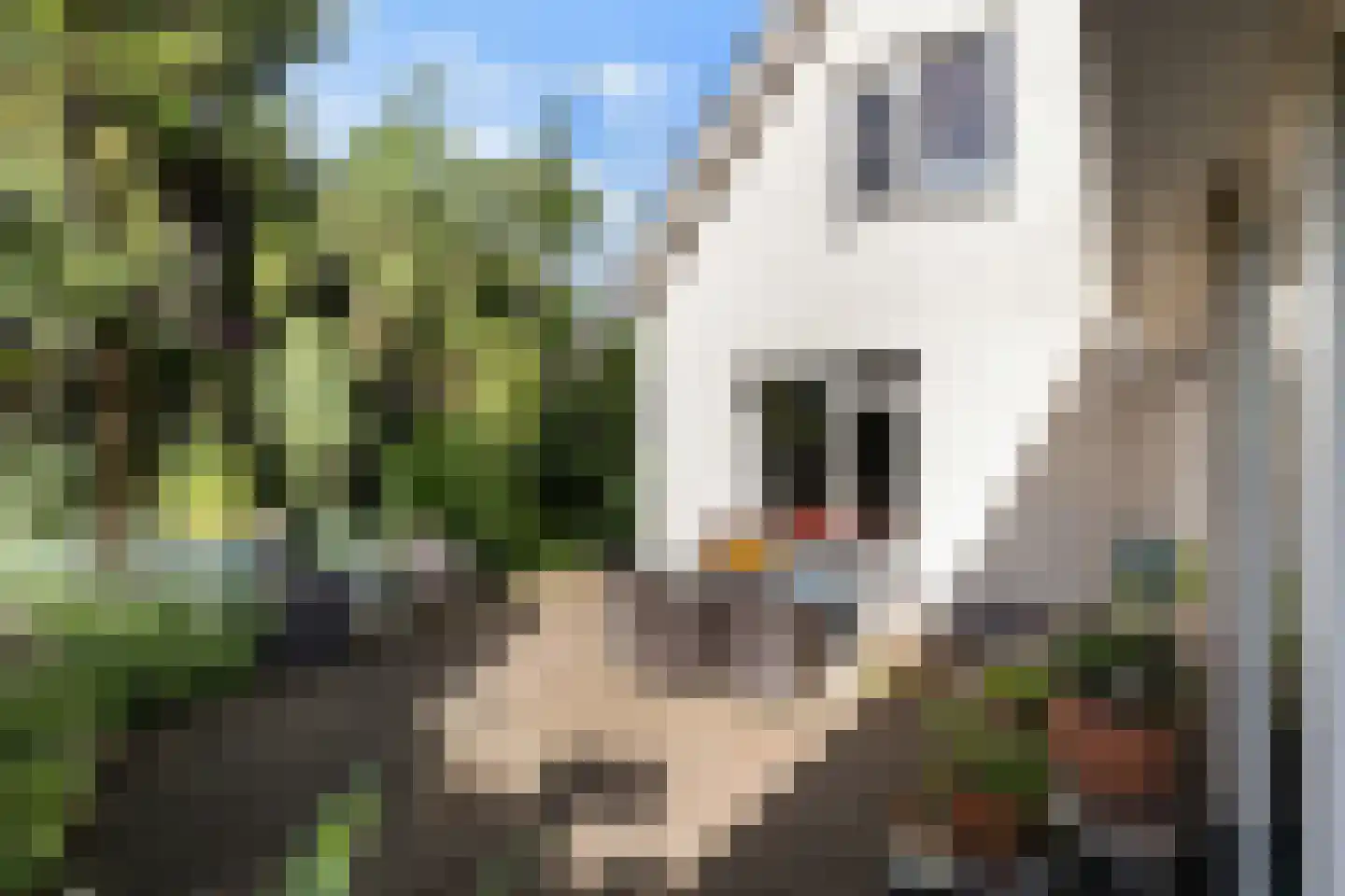 De Steen 41 Woudenberg thumbnail 36