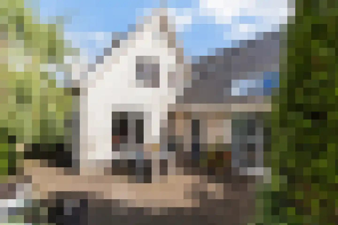 De Steen 41 Woudenberg thumbnail 38