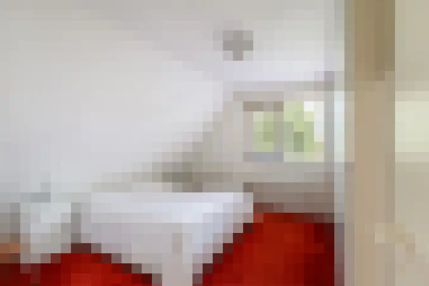 De Steen 41 Woudenberg thumbnail 47