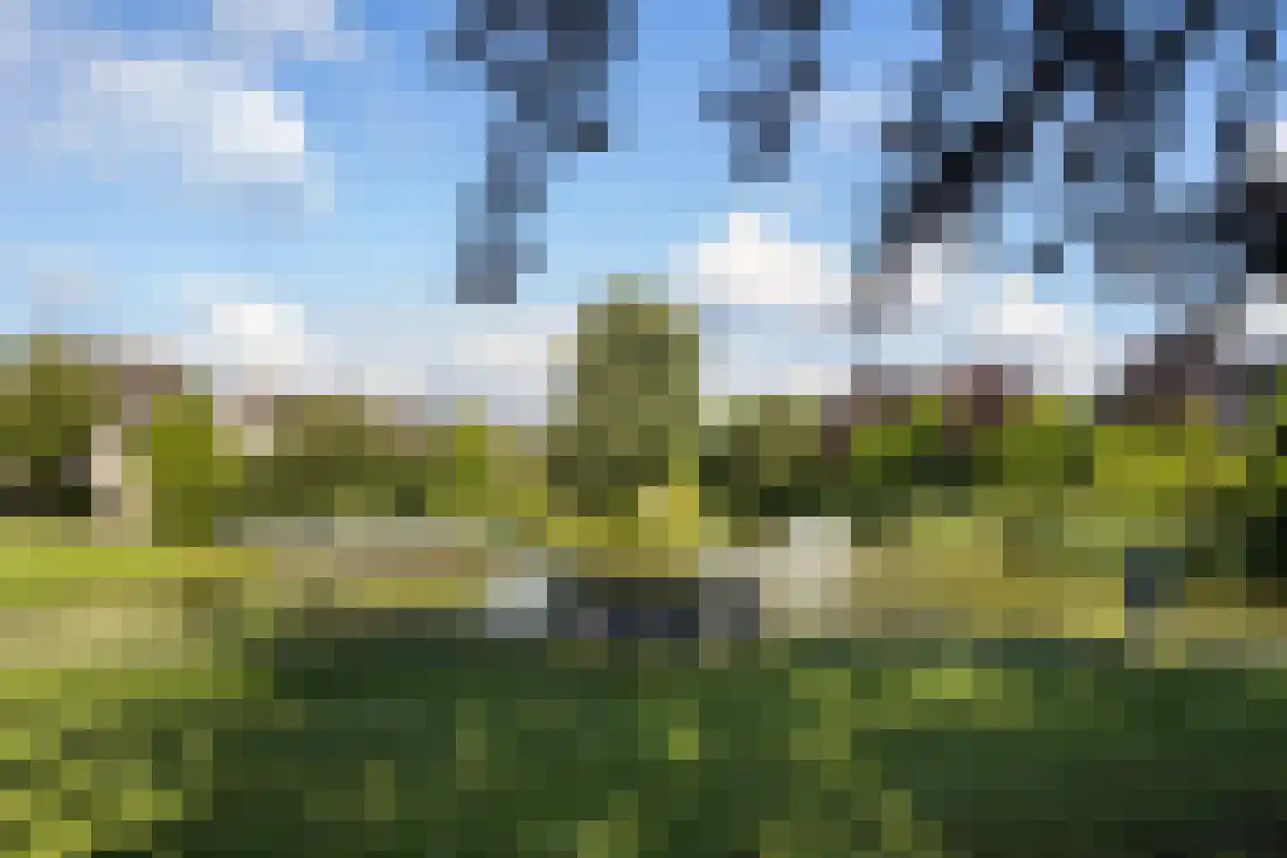 De Steen 41 Woudenberg thumbnail 56