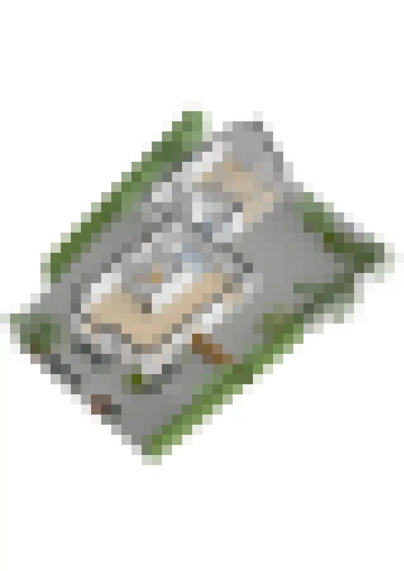 De Steen 41 Woudenberg thumbnail 68