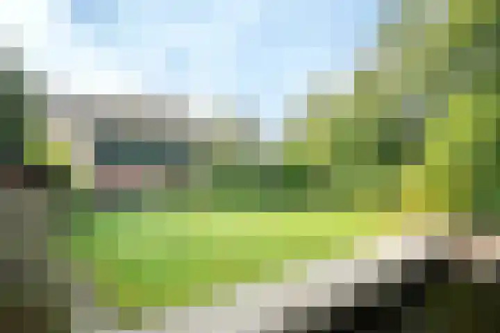 De Steenakkers 40 Belt-Schutsloot thumbnail 32